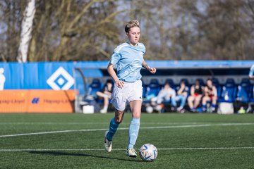 Bild 121 - F Hamburger SV 3 - Blau-Weiss 96 : Ergebnis: 5:1